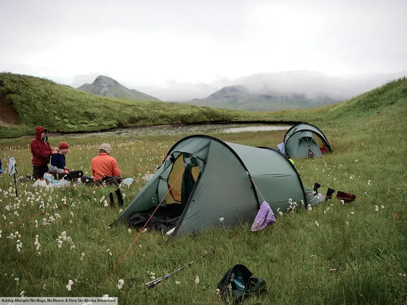 Hilleberg Nallo 2 Tent - Green