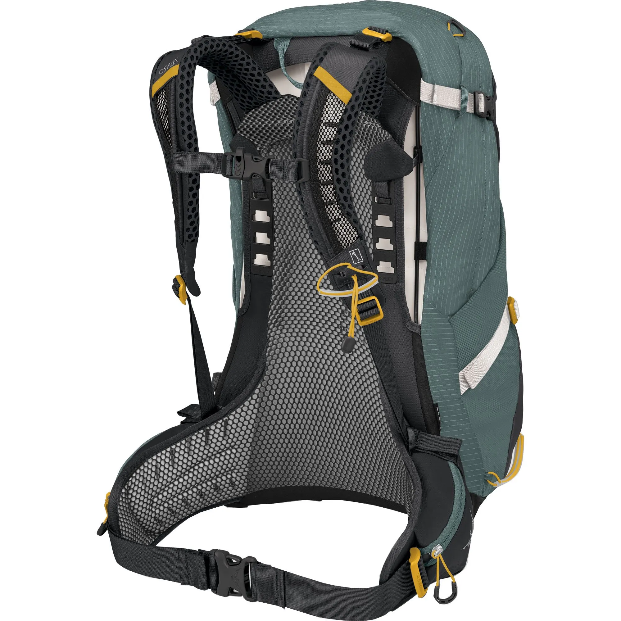 Osprey - Sirrus\u2122 34l Trekking Backpack Women succulent green