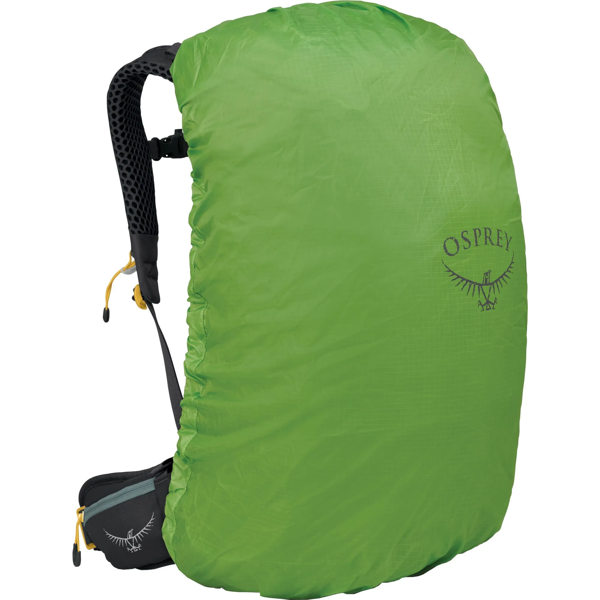 Osprey - Sirrus\u2122 34l Trekking Backpack Women succulent green