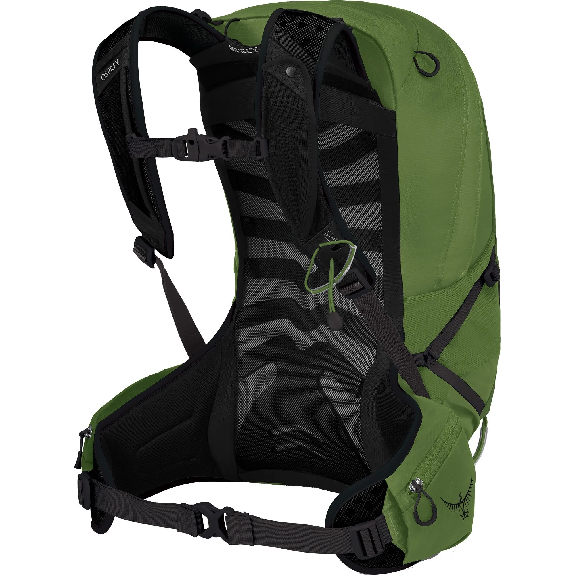 Osprey - Talon\u2122 22l Backpack Men green belt